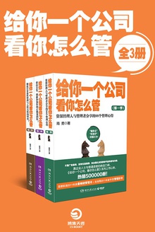 给你一个公司,看你怎么管(全3册)