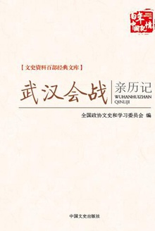 武汉会战亲历记