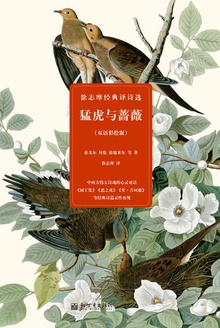 猛虎与蔷薇