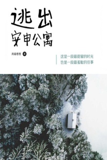 逃出安申公寓