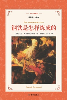 钢铁是怎样炼成的(译林名著精选)