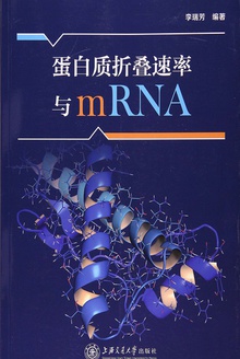 蛋白质折叠速率与mRNA