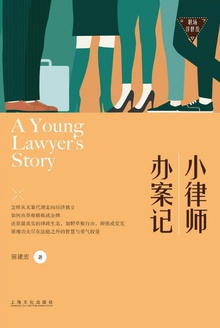 小律师办案记(职场浮世绘)