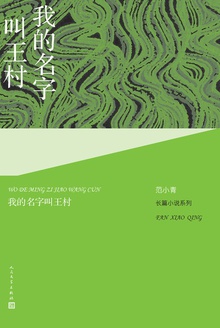 我的名字叫王村