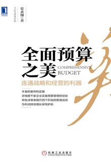 全面预算之美
