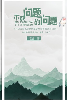 不成问题的问题(单行本)