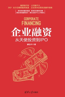 企业融资:从天使投资到IPO