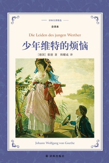 少年维特的烦恼