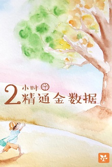2小时精通金数据