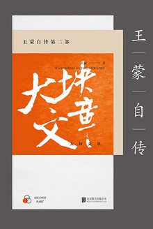 大块文章(新版)