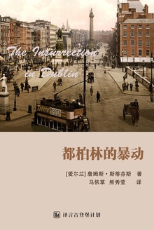 都柏林的暴动