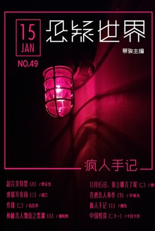 悬疑世界·疯人手记