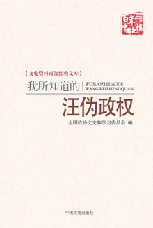 我所知道的汪伪政权(百年中国记忆)