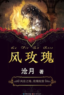 沧月·风玫瑰