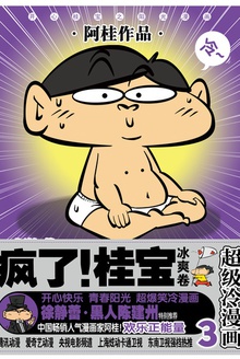 疯了!桂宝3(冰爽卷·白金卷)