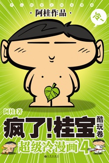 疯了!桂宝4(酷玩卷)