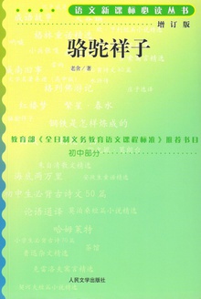 ӣ棩