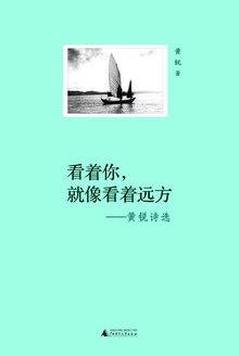 看着你,就像看着远方