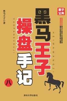 黑马王子操盘手记(八)