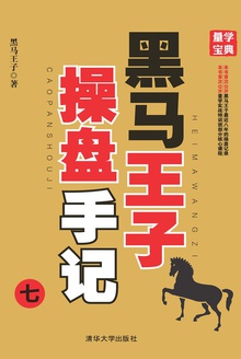 黑马王子操盘手记(七)
