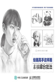 绘画高手这样画·素描综合技法