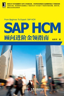 SAP HCM顾问进阶金领指南
