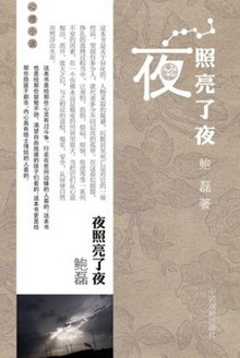 夜照亮了夜