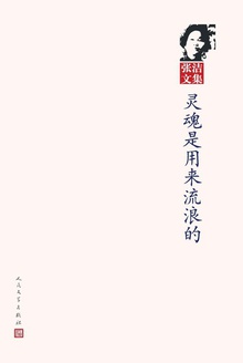 灵魂是用来流浪的