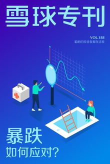雪球专刊188期——暴跌如何应对?