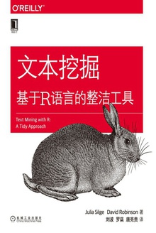 文本挖掘:基于R语言的整洁工具