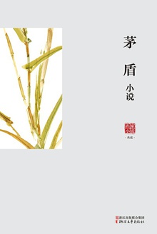 茅盾小说