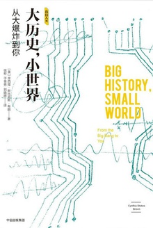 大历史,小世界:从大爆炸到你