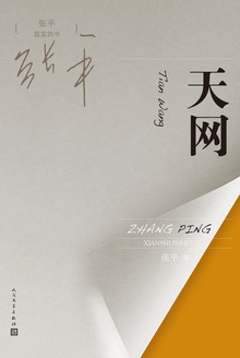 天网