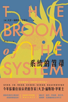 系统的笤帚