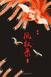 凤权录(全二册)