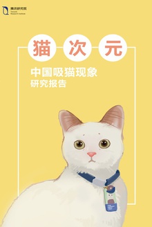 猫次元:中国吸猫现象研究报告