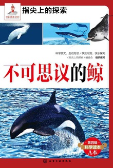 ����˼��ľ�