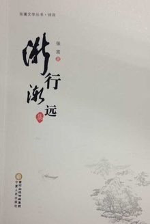 渐行渐远集