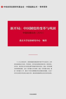 新开局:中国制度的变革与巩固