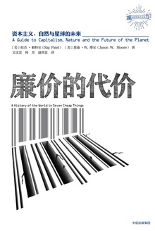 廉价的代价