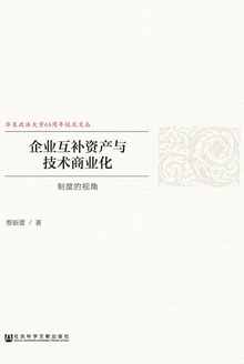 企业互补资产与技术商业化:制度的视角