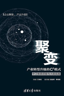 聚变:产业转型升级的C3模式