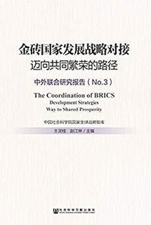 金砖国家发展战略对接:迈向共同繁荣的路径