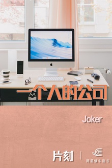 一个人的公司