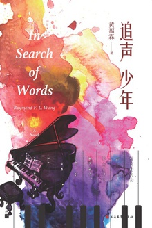 追声少年