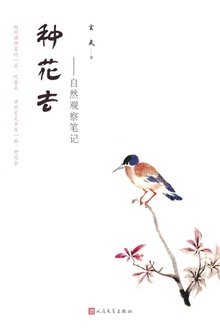 种花去:自然观察笔记