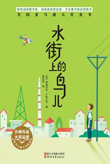 水街上的鸟儿