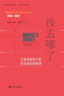 钱去哪了:大资管框架下的资金流向和机制