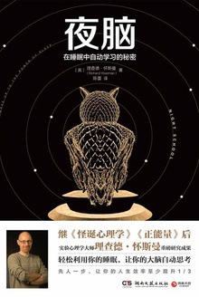 夜脑:在睡眠中自动学习的秘密