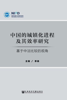 中国的城镇化进程及其效率研究